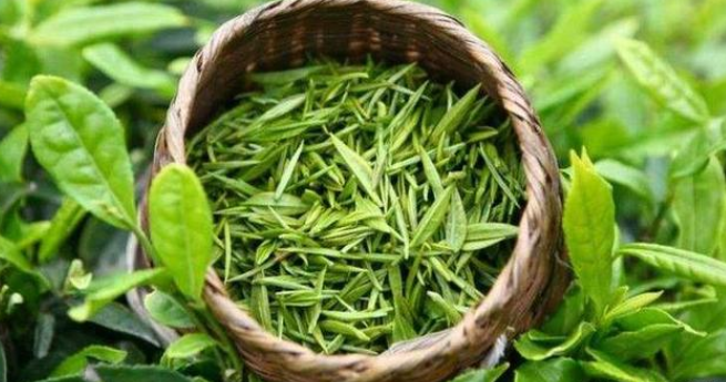 湖南富硒茶玉露地址（恩施富硒茶玉露）-硒宝网