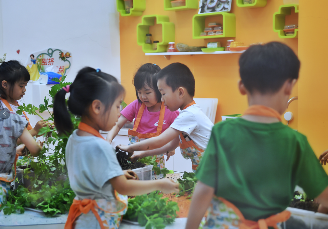 测微量元素需要空腹吗（测空腹微量元素需要注意什么）-硒宝网