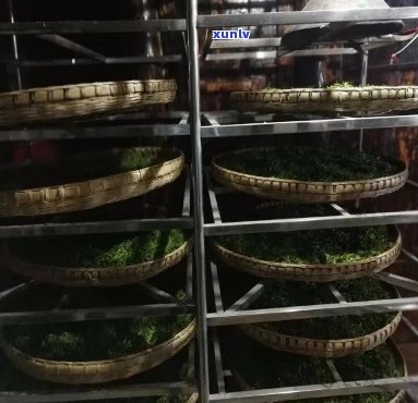 重庆富硒毛坝茶加工（重庆富硒农产品）-硒宝网