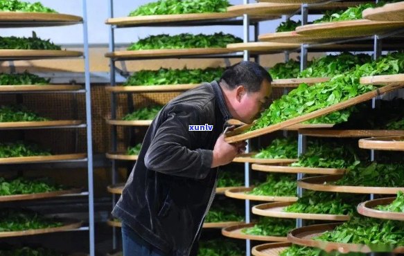 重庆富硒毛坝茶加工（重庆富硒农产品）-硒宝网