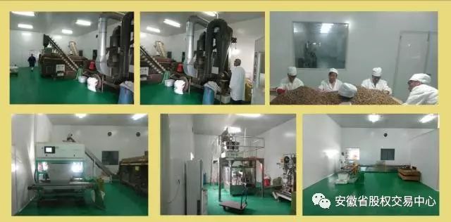 牯牛降富硒野茶耐泡（野生硒茶是什么茶）-硒宝网