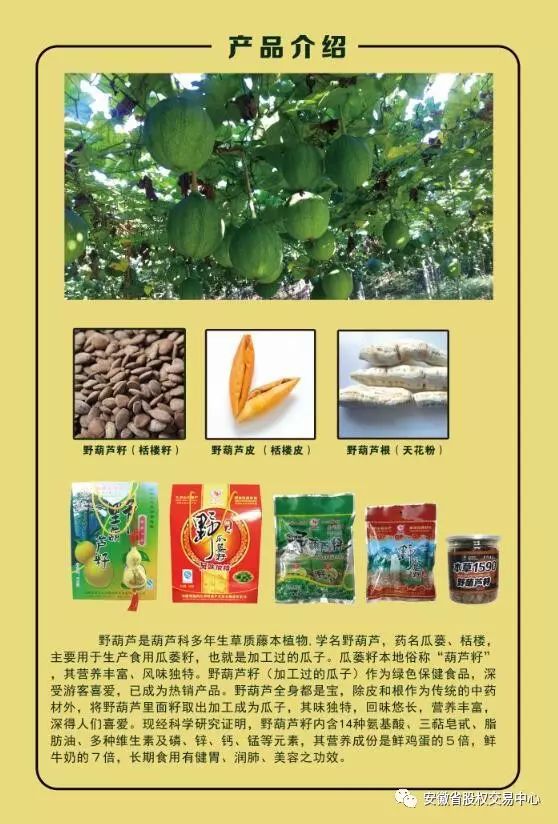 牯牛降富硒野茶耐泡（野生硒茶是什么茶）-硒宝网