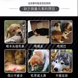狗狗微量元素哪个牌子好（狗狗微量元素那个牌子好）-硒宝网