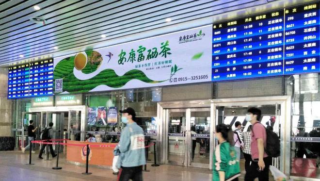 富硒茶品牌策略书籍（茶书籍）-硒宝网