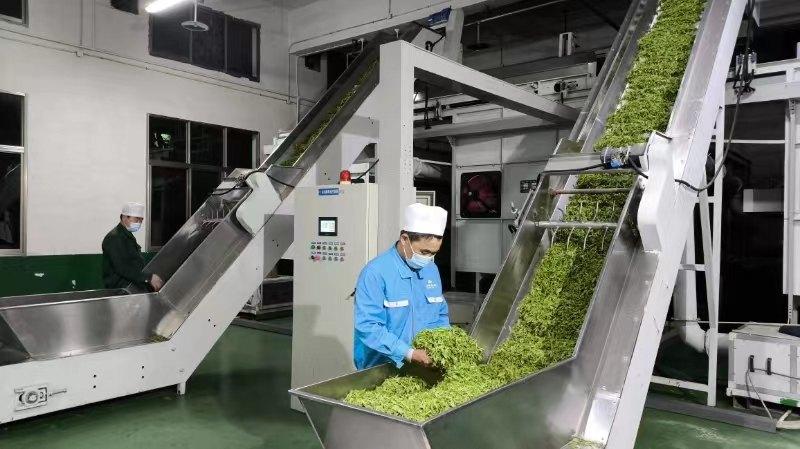 富硒茶销售市场分析（富硒茶的竞争对手）-硒宝网