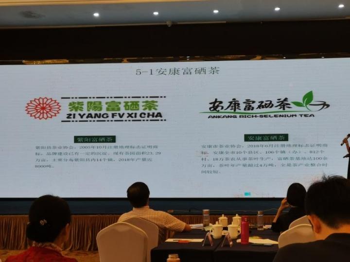 富硒茶栽培技术培训(富硒茶文化)-硒宝网