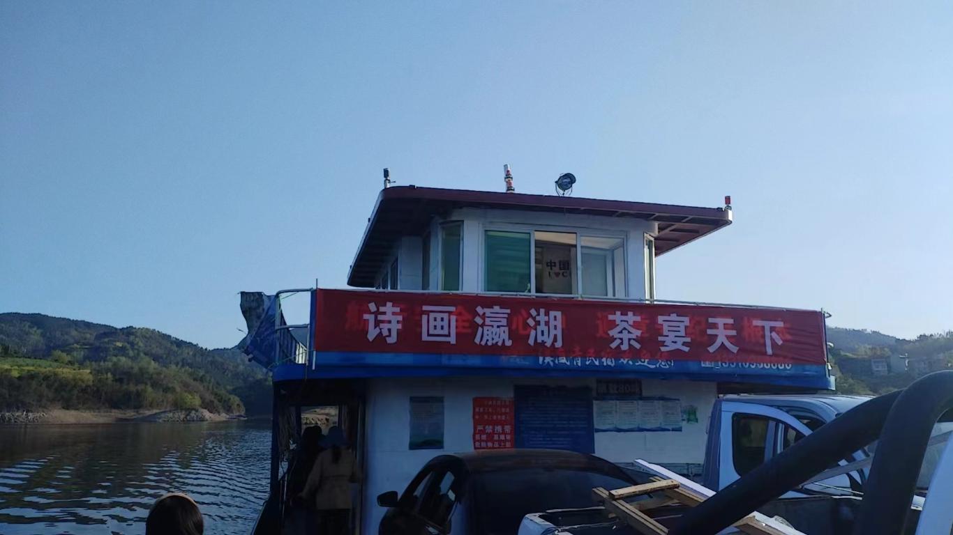 十大品牌安康富硒茶(安康富硒茶主要产自哪里)-硒宝网