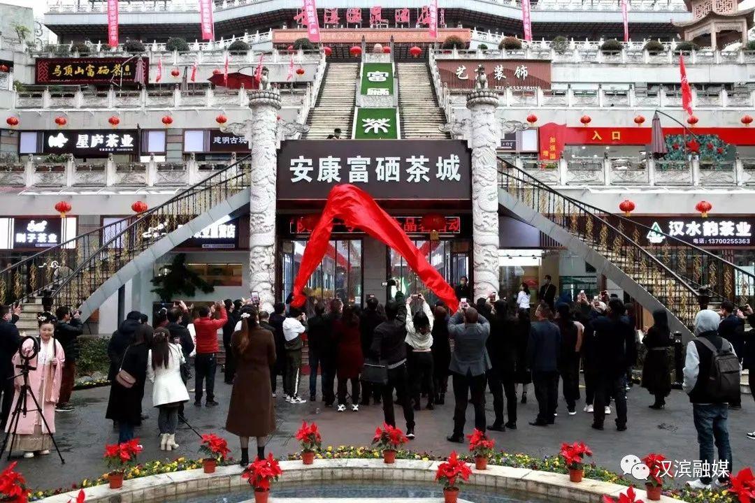 安康富硒茶城在哪儿(安康富硒茶园)-硒宝网