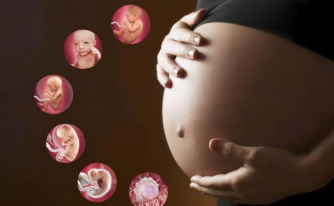 产妇补钙吃什么钙片好(产妇补钙吃钙片好还是喝牛奶)-硒宝网