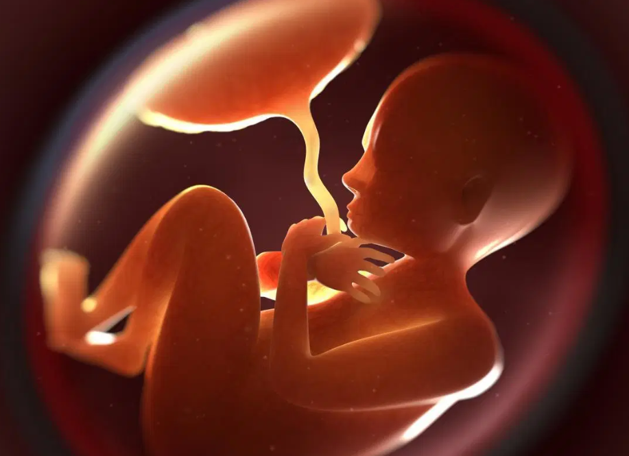 产妇补钙吃什么钙片好(产妇补钙吃钙片好还是喝牛奶)-硒宝网