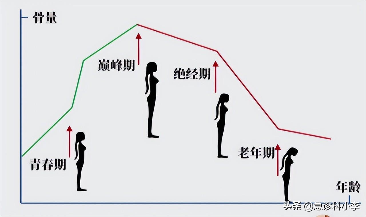 成年女性补钙吃什么钙片好(成年女性补钙有什么好处)-硒宝网