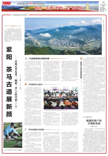 四大富硒茶乡是哪里(富硒茶文化)-硒宝网