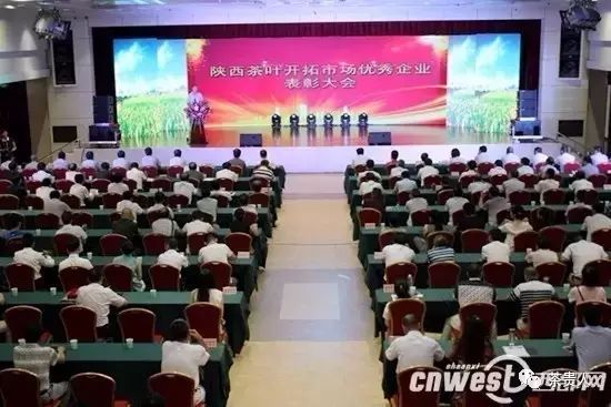 四大富硒茶乡是哪里（富硒茶产地在哪里）-硒宝网