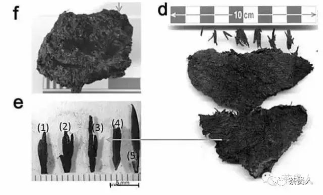 四大富硒茶乡是哪里（富硒茶产地在哪里）-硒宝网