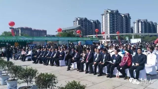 四大富硒茶乡是哪里（富硒茶产地在哪里）-硒宝网