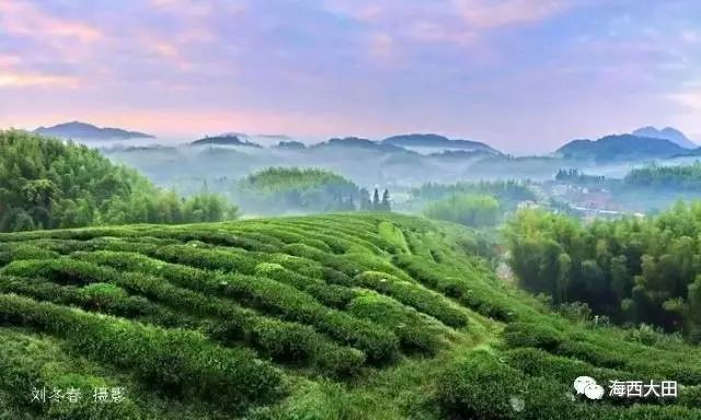 四大富硒茶乡是哪里（富硒茶之乡）-硒宝网