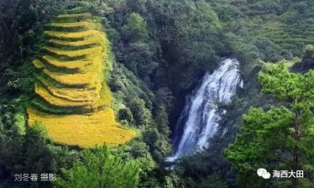 四大富硒茶乡是哪里（富硒茶之乡）-硒宝网