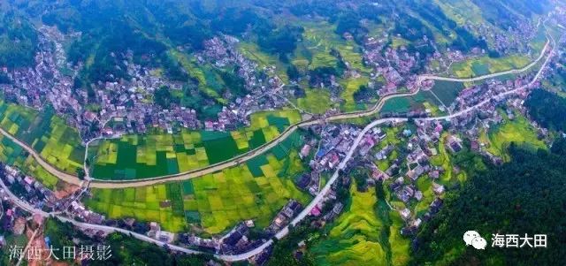 四大富硒茶乡是哪里（富硒茶之乡）-硒宝网