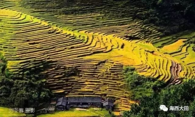 四大富硒茶乡是哪里（富硒茶之乡）-硒宝网