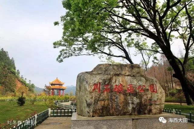 四大富硒茶乡是哪里（富硒茶之乡）-硒宝网