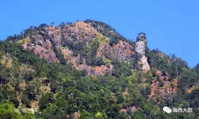 四大富硒茶乡是哪里（富硒茶之乡）-硒宝网