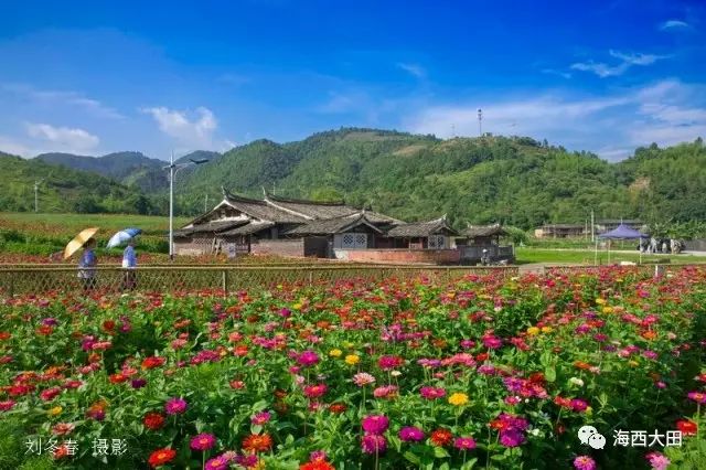 四大富硒茶乡是哪里（富硒茶之乡）-硒宝网