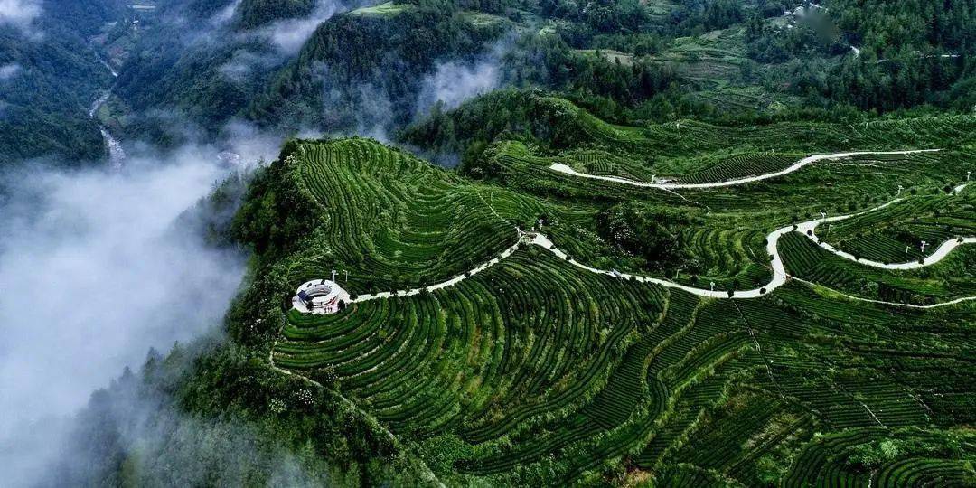 万源市富硒茶的市?。ㄍ蛟锤晃枰都鄹瘢?硒宝网