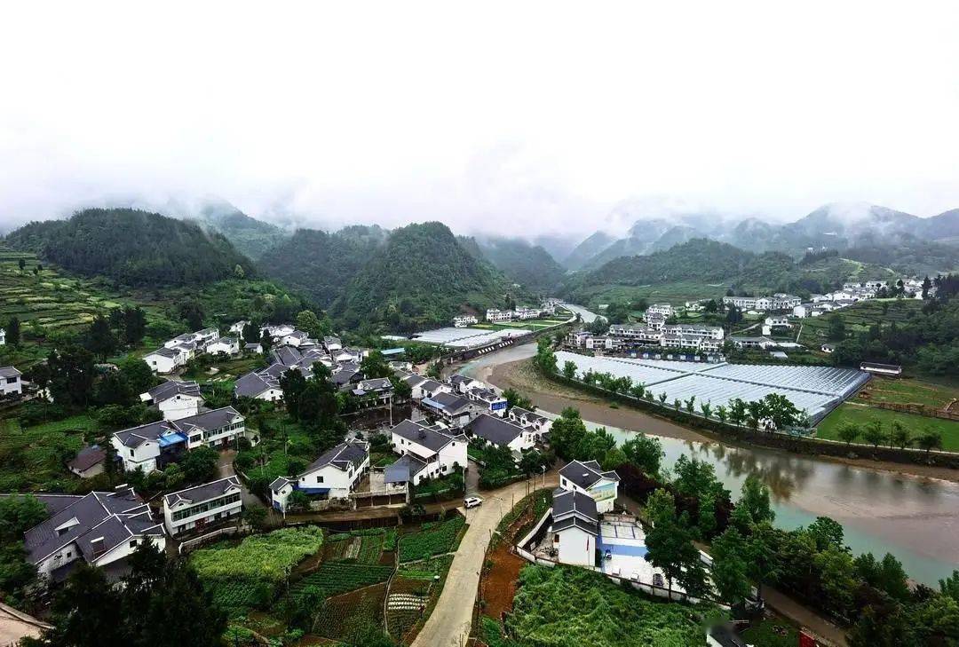 万源市富硒茶的市场（万源富硒茶叶价格）-硒宝网