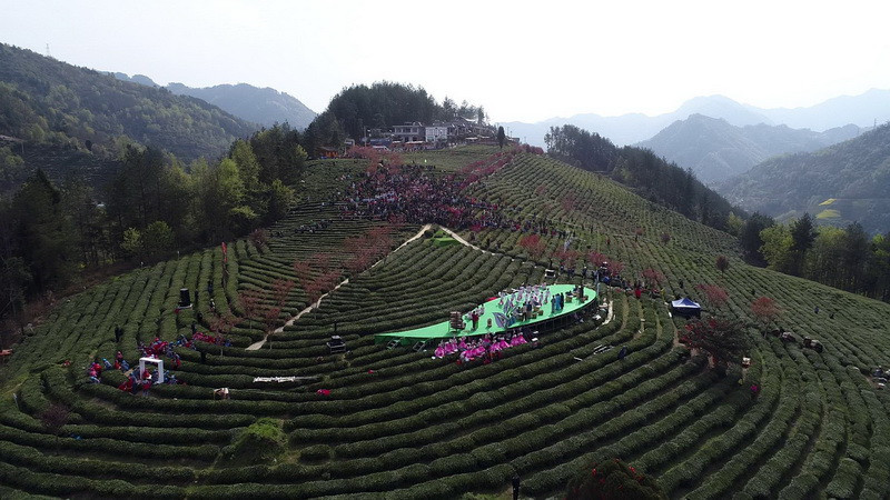 富硒之乡 富硒之茶（富硒茶园）-硒宝网