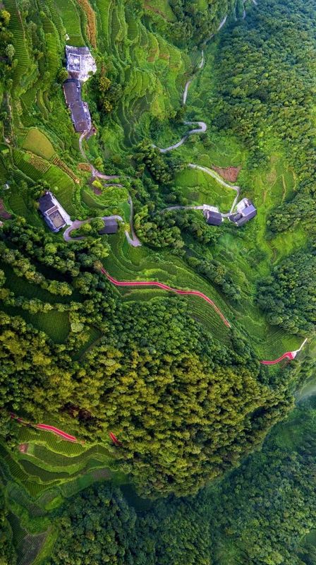 恩施硒茶恩施富硒茶(恩施富硒茶)-硒宝网