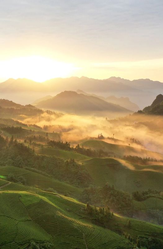 恩施硒茶恩施富硒茶(恩施富硒茶)-硒宝网