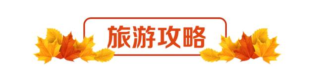 富硒茶含富硒多少克（富硒茶好处）-硒宝网