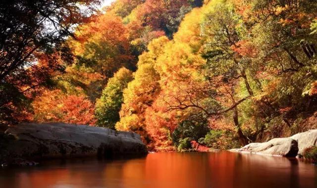 富硒茶含富硒多少克（富硒茶好处）-硒宝网