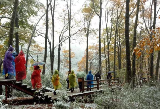 富硒茶含富硒多少克（富硒茶好处）-硒宝网