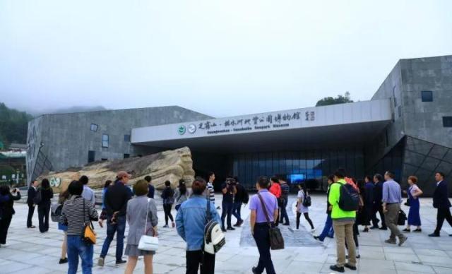 富硒茶含富硒多少克（富硒茶好处）-硒宝网