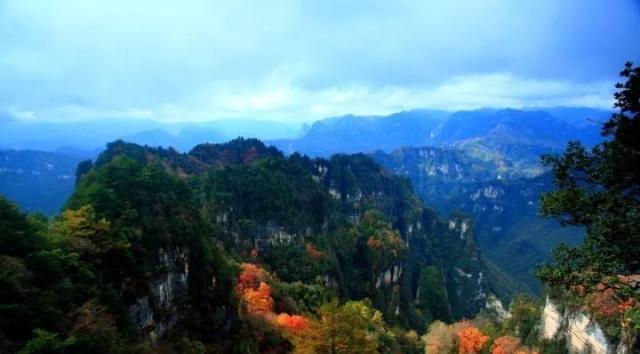 富硒茶含富硒多少克（富硒茶好处）-硒宝网