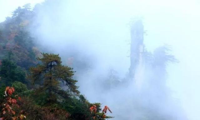 富硒茶含富硒多少克（富硒茶好处）-硒宝网