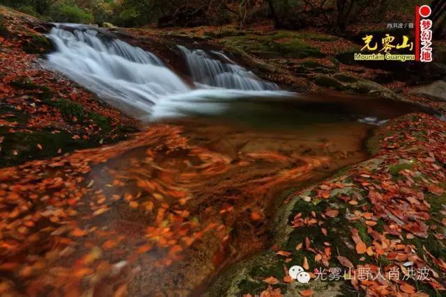 富硒茶含富硒多少克（富硒茶好处）-硒宝网