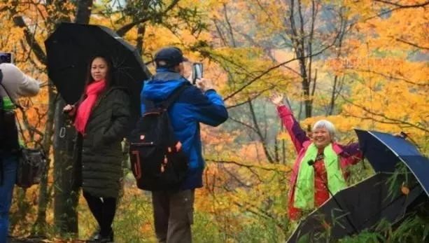 富硒茶含富硒多少克（富硒茶好处）-硒宝网