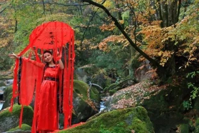 富硒茶含富硒多少克（富硒茶好处）-硒宝网