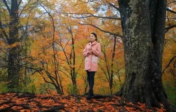 富硒茶含富硒多少克（富硒茶好处）-硒宝网