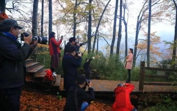 富硒茶含富硒多少克（富硒茶好处）-硒宝网