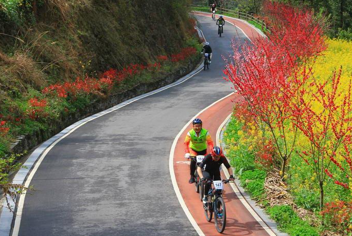 焕古硒茶小镇富硒茶（富硒茶园）-硒宝网