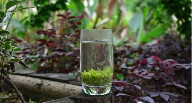 富硒茶含富硒多少克(富硒茶含硒吗)-硒宝网