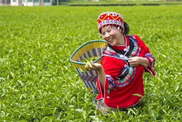 富硒茶含富硒多少克(富硒茶含硒吗)-硒宝网