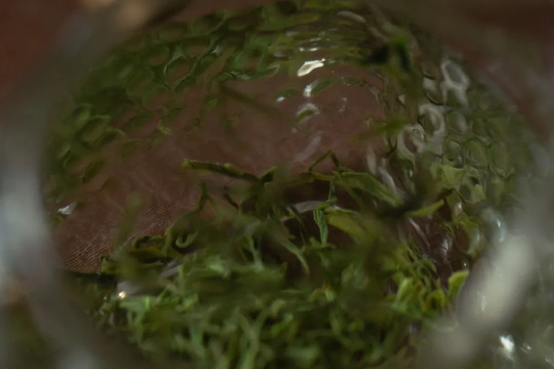 恩施富硒茶 玉露茶(恩施玉露与恩施富硒茶对比区别)-硒宝网