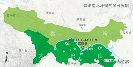 紫阳茶 紫阳富硒茶(紫阳富硒茶多少钱一斤)-硒宝网