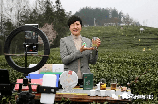 紫阳茶 紫阳富硒茶(紫阳富硒茶多少钱一斤)-硒宝网