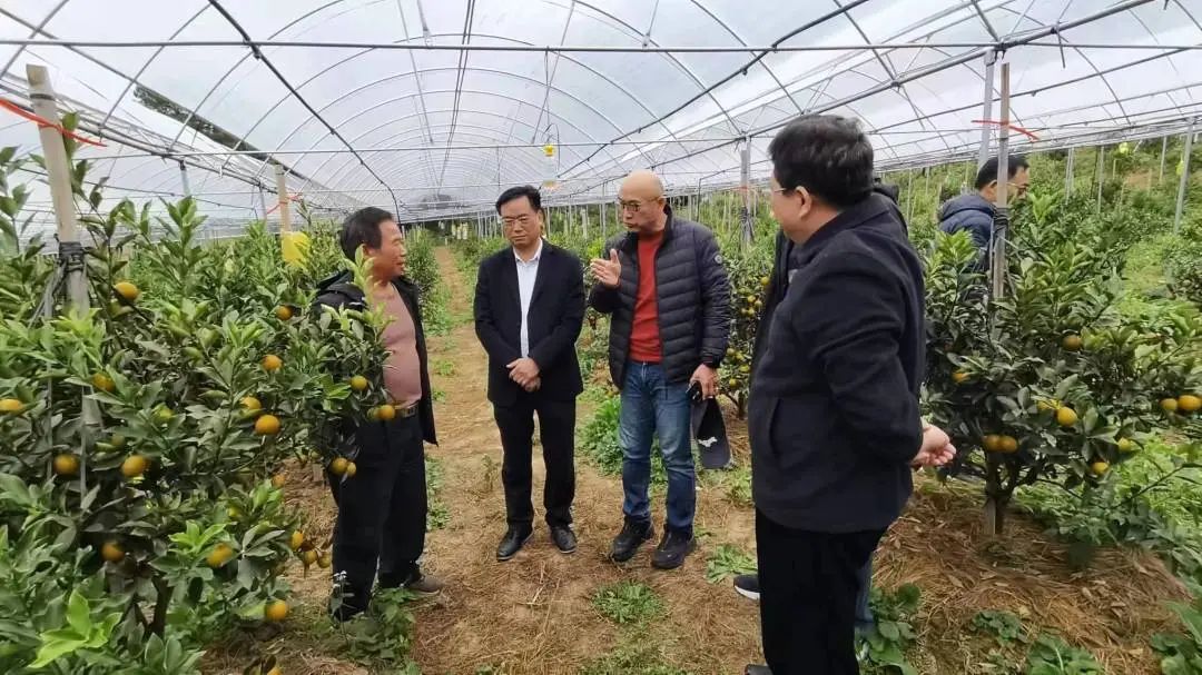 富硒茶怎么测硒含量（含量测茶富硒硒含量多少）-硒宝网