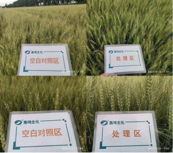 富硒茶怎么测硒含量（含量测茶富硒硒含量多少）-硒宝网